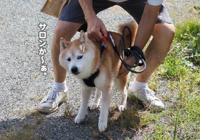 11日夕ブログ４