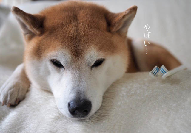 8日ブログ9