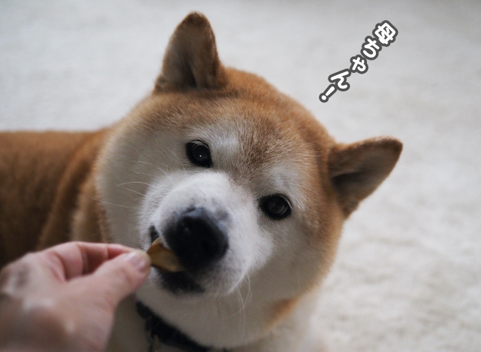 10日夕ブログ６