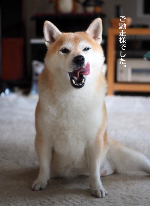 19日ブログ８