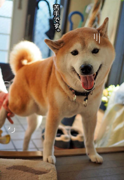22日夜ブログ6