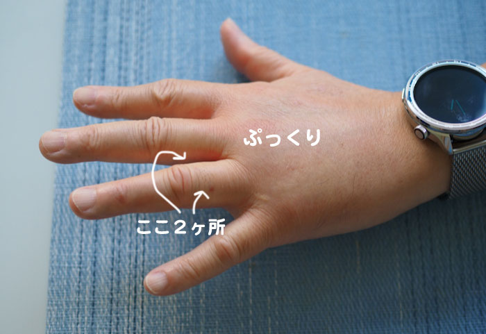 8日夕ブログ2