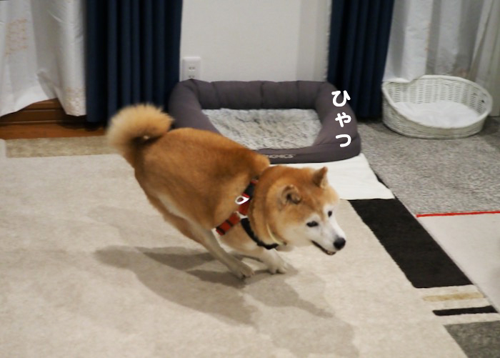 24日ブログ３