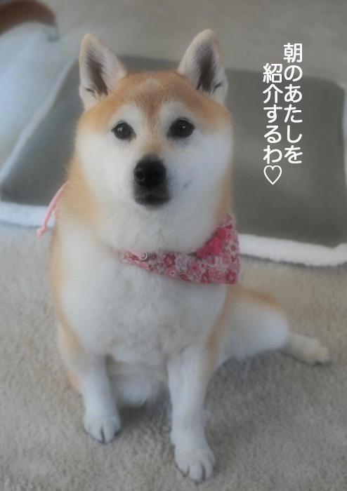 26日ブログ２