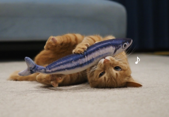 11日夕ブログ７