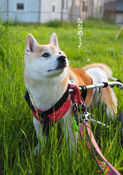 25日夜ブログ２