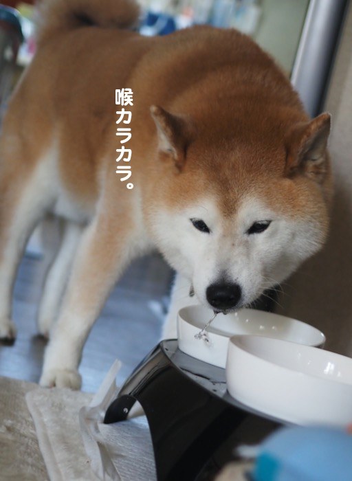 29日ブログ１０