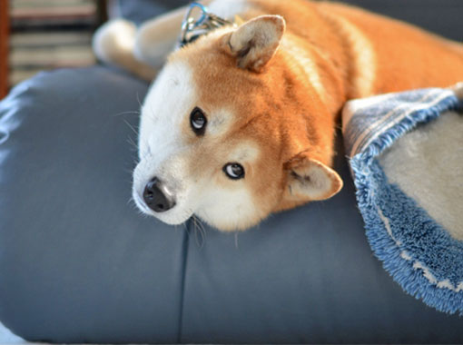 9日ブログ６.jpg