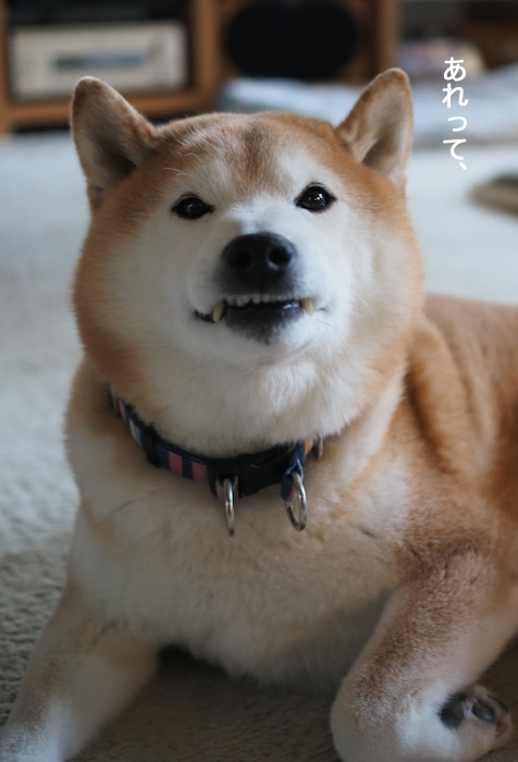 17日ブログ１