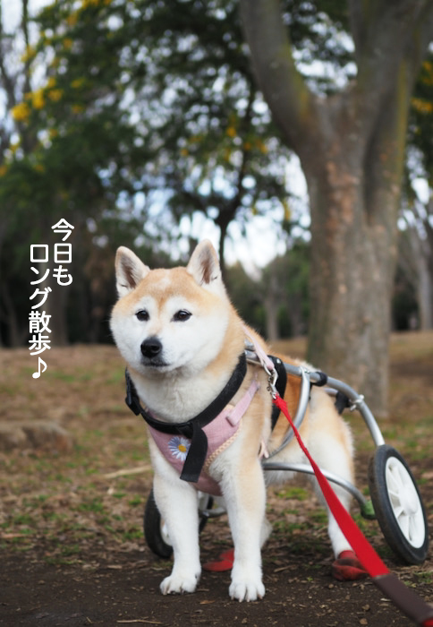 22日夜ブログ２