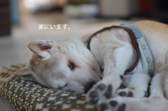 28日ブログ10