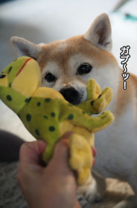 18日夜ブログ５