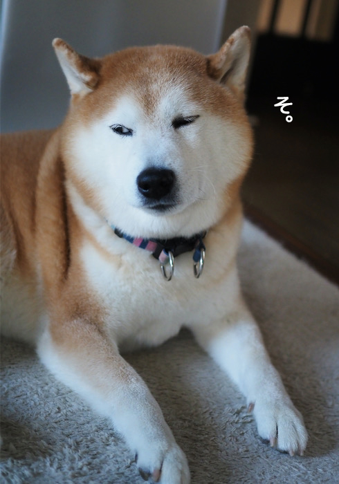 14日ブログ５