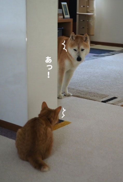 7日ブログ1