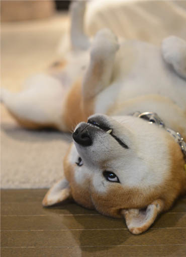 30日ブログ4.jpg