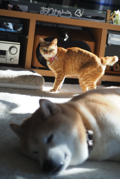 8日ブログ３