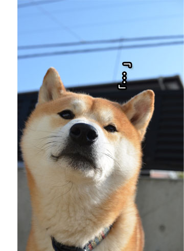 23日ブログ10.jpg