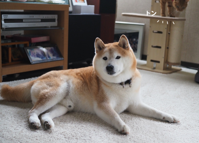 27日夕ブログ３