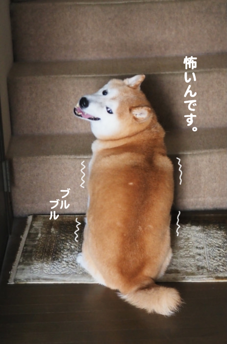 3日夜ブログ４