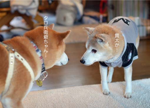 25日ブログ7.jpg