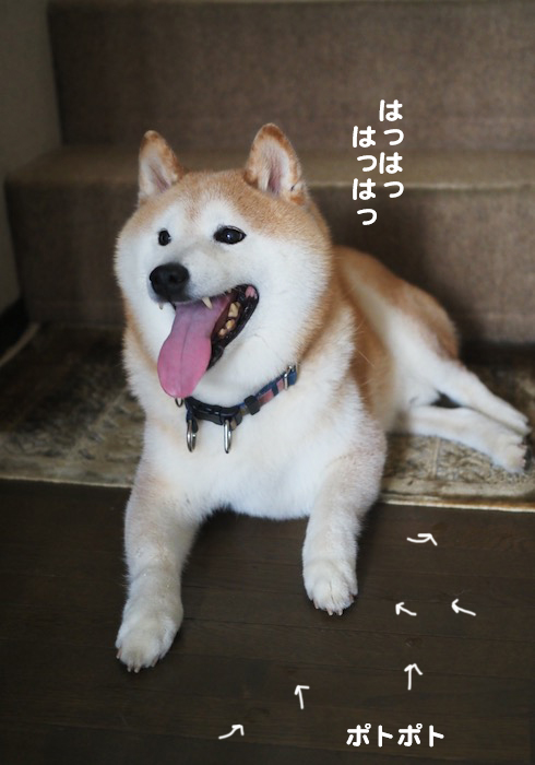 12日ブログ4