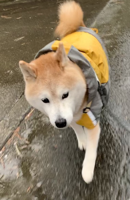 8日夕ブログ2