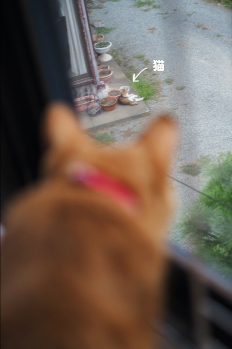 27日夕ブログ４