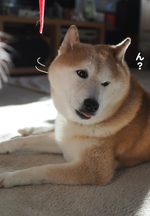 23日ブログ２