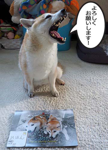 14日ブログ７