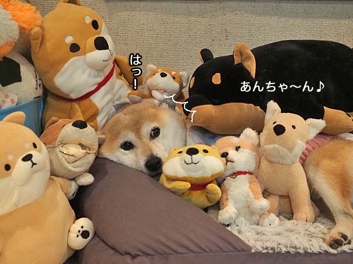 8日夜ブログ２
