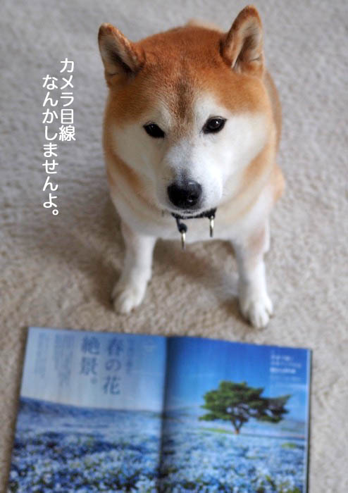 12日ブログ5