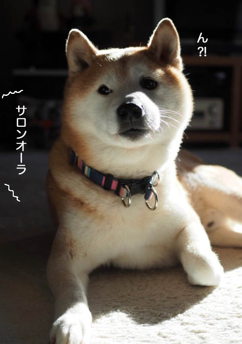 17日ブログ５
