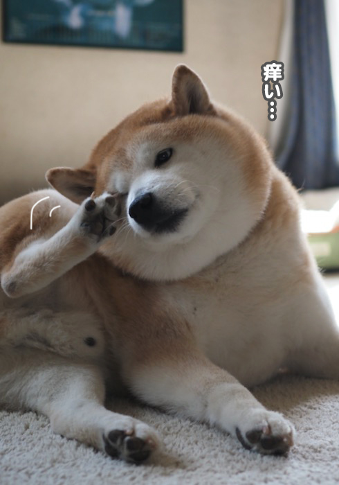 15日ブログ２