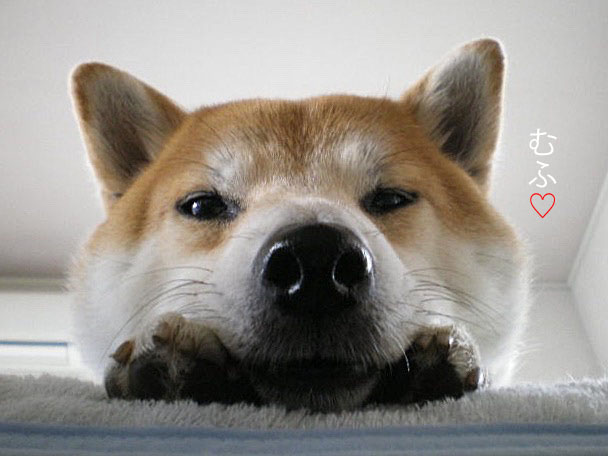 21日ブログ4