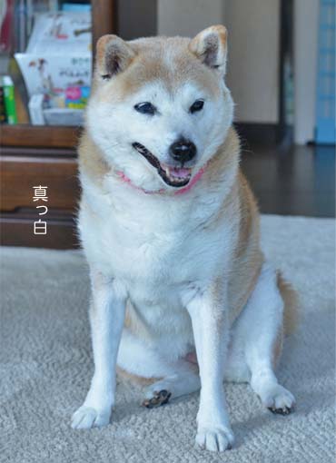 29日ブログ5.jpg