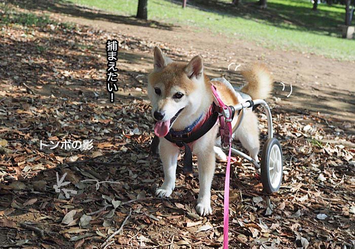 8日午後ブログ４