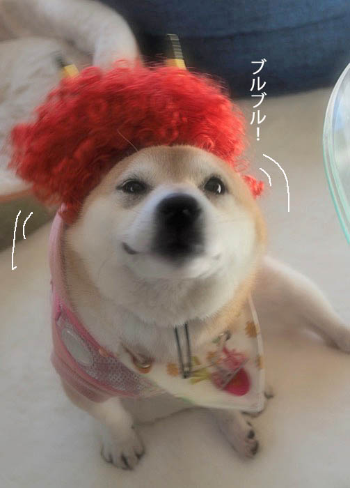 3日ブログ５