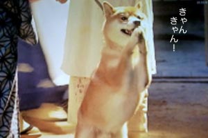 29日ブログ3.jpg