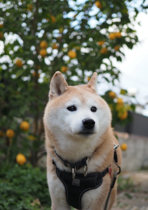 1日ブログ１
