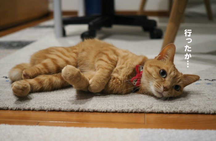 25日夕ブログ５