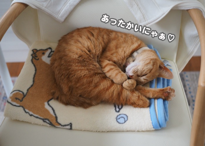 20日夕ブログ６