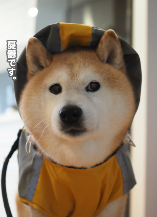 18日夜ブログ３