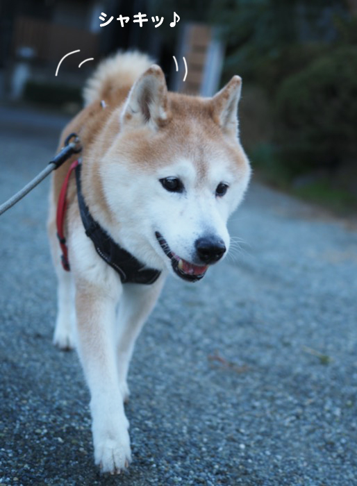 26日ブログ２