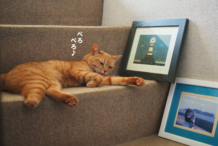 16日夕ブログ１１