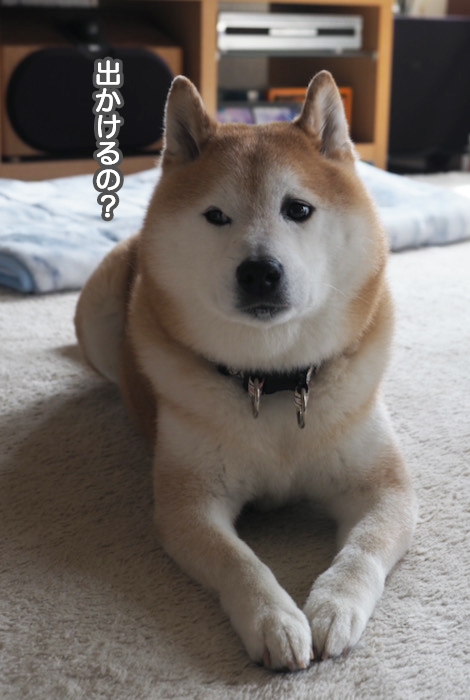 15日夕ブログ２