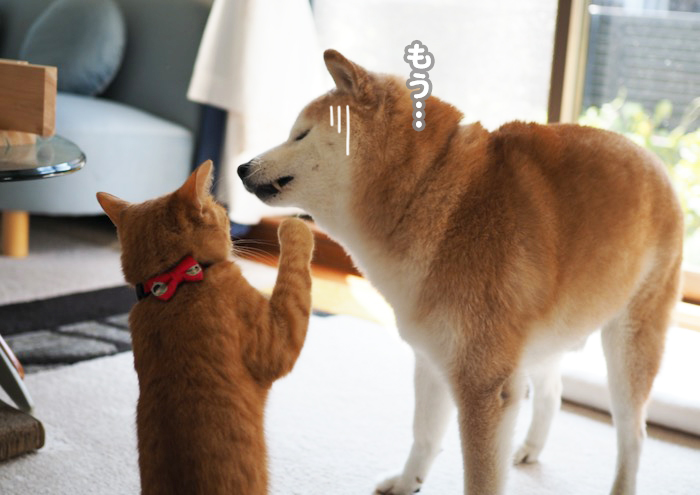 14日ブログ６