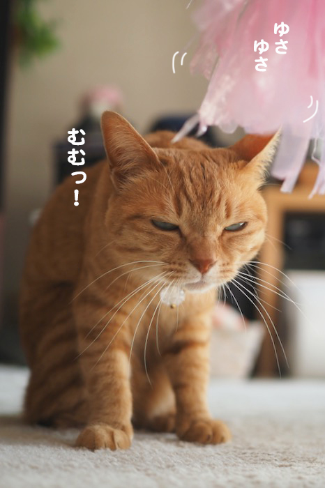 12日夕ブログ６