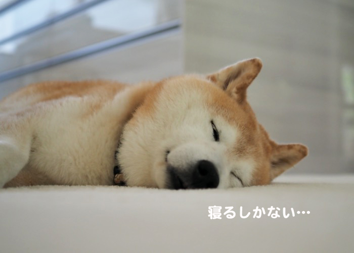 19日ブログ3