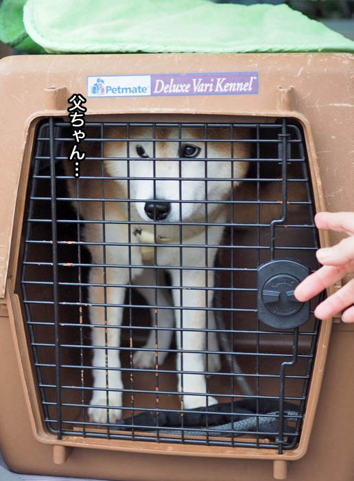 3日ブログ１１
