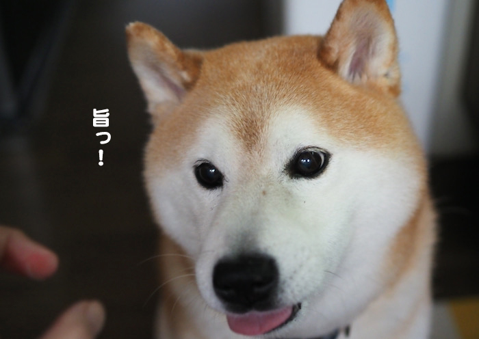 18日夜ブログ１１